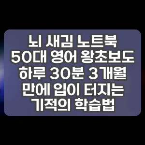뇌 새김 노트북 | 50대 영어 왕초보도 하루 30분 3개월 만에 입이 터지는 기적의 학습법