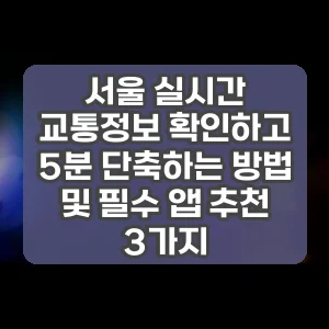 서울 실시간 교통정보 확인하고 5분 단축하는 방법 및 필수 앱 추천 3가지