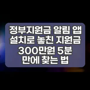 정부지원금 알림 앱 설치로 놓친 지원금 300만원 5분 만에 찾는 법