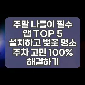 주말 나들이 필수 앱 TOP 5 설치하고 벚꽃 명소 주차 고민 100% 해결하기
