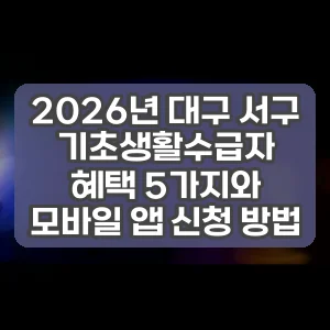 2026년 대구 서구 기초생활수급자 혜택 5가지와 모바일 앱 신청 방법