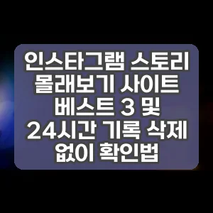 인스타그램 스토리 몰래보기 사이트 베스트 3 및 24시간 기록 삭제 없이 확인법
