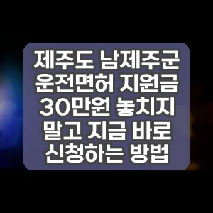 제주도 남제주군 운전면허 지원금 30만원 놓치지 말고 지금 바로 신청하는 방법