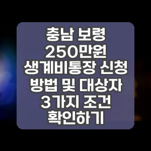 충남 보령 250만원 생계비통장 신청 방법 및 대상자 3가지 조건 확인하기