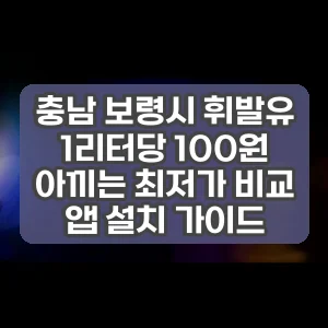 충남 보령시 휘발유 1리터당 100원 아끼는 최저가 비교 앱 설치 가이드